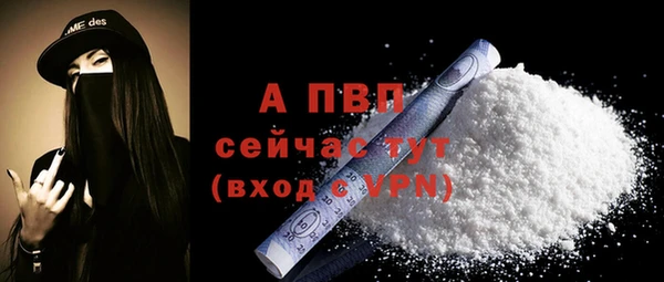 молекула духа Вязьма