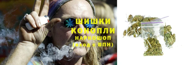 стаф Вязники