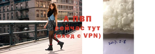 спайс Вяземский