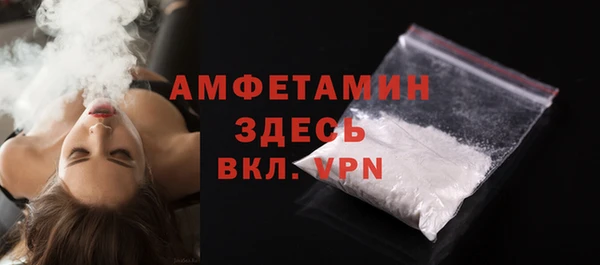 молекула духа Вязьма