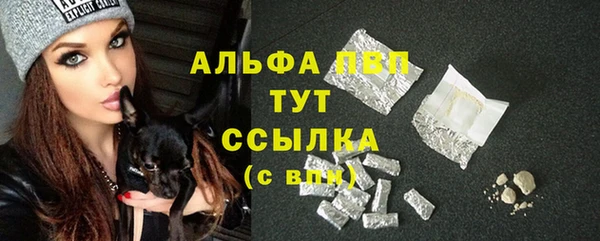 спайс Вяземский