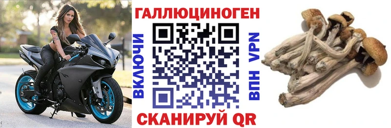 Купить где  Лодейное Поле  Псилоцибиновые грибы ЛСД 